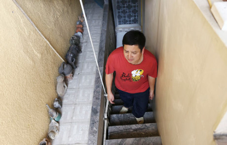 cơ ngơi của nghệ sĩ đóng Táo Quân 0 Táo Quân, Quang Thắng, Xuân Bắc, Công Lý, Quốc Khánh, Minh Quân, Vân Dung, Chí Trung, Tự Long