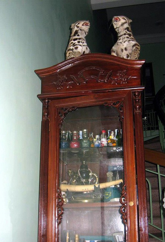 cơ ngơi của nghệ sĩ đóng Táo Quân 2 Táo Quân, Quang Thắng, Xuân Bắc, Công Lý, Quốc Khánh, Minh Quân, Vân Dung, Chí Trung, Tự Long