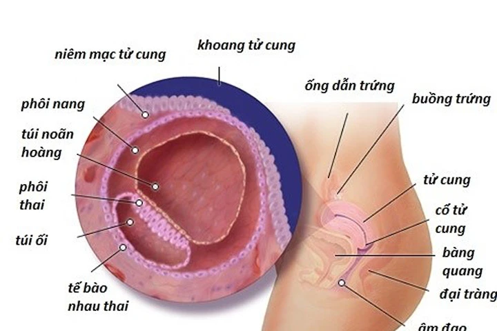 Người phụ nữ lấy 2 đời chồng và nỗi lo không thể có con