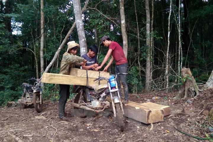 Kon Tum xác minh được các đối tượng phá rừng ở Đăk Glei