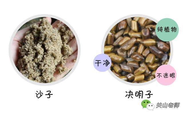 Con chảy máu mũi, bố mẹ bàng hoàng phát hiện hạt quế... mọc mầm trong mũi con ảnh 3 Con chảy máu mũi, bố mẹ bàng hoàng phát hiện hạt quế... mọc mầm trong mũi con ảnh 3