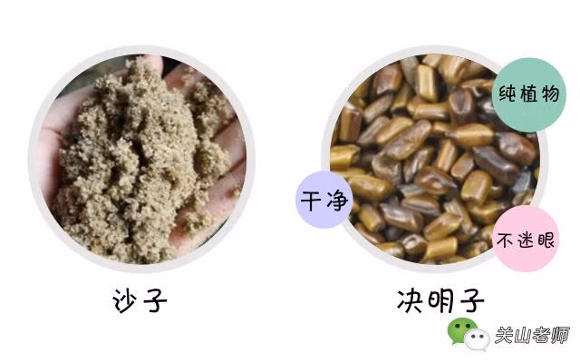 Con chảy máu mũi, bố mẹ bàng hoàng phát hiện hạt quế... mọc mầm trong mũi con ảnh 3