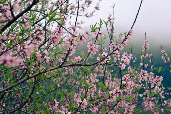 Ảnh hưởng của không khí lạnh, chiều và tối nay Bắc Bộ và Thanh Hóa mưa rào