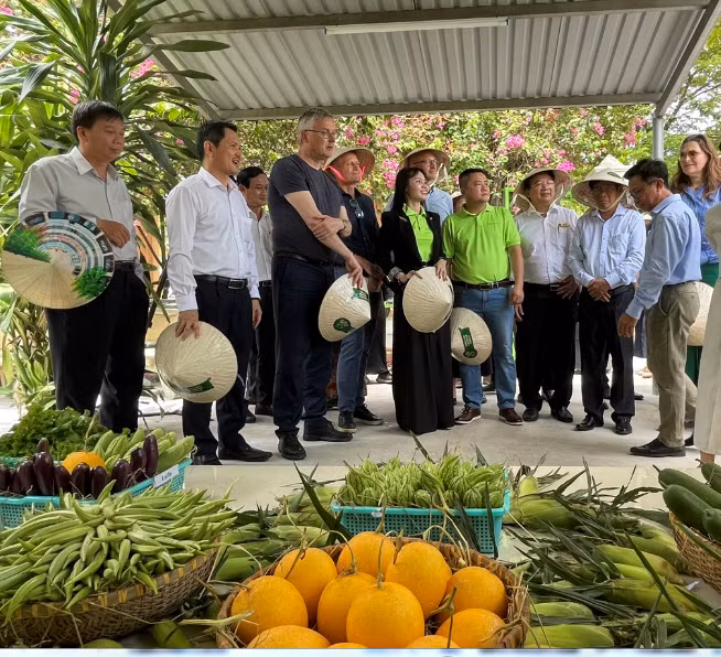 Các doanh nghiệp, đoàn thể tham quan mô hình Vườn thực phẩm cộng đồng