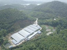 Toàn cảnh trại lợn được cho nằm trên đầu Nhà máy nước sạch sông Đà cạnh hồ Đầm Bài