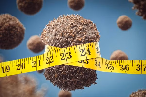 Kích thước khối u có thể bị thu nhỏ qua chế độ ăn.