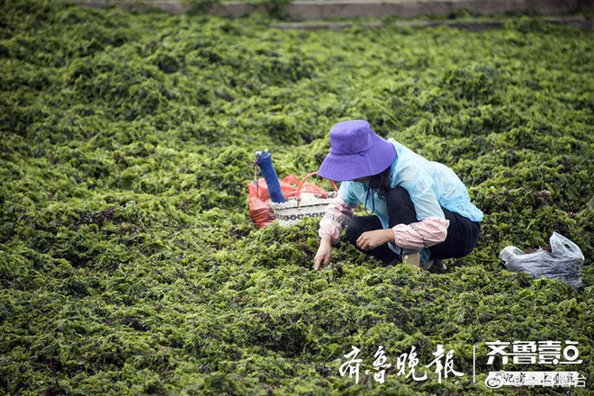 Bão lớn cuốn theo món đồ quý giá đổ vào bờ, người dân đua nhau đi nhặt - Ảnh 5.