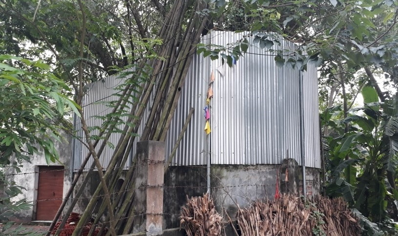 Cả làng quây tôn, dựng chốt bảo vệ cây sưa 22 tỷ ở Vĩnh Phúc ảnh 3 Cả làng quây tôn, dựng chốt bảo vệ cây sưa 22 tỷ ở Vĩnh Phúc