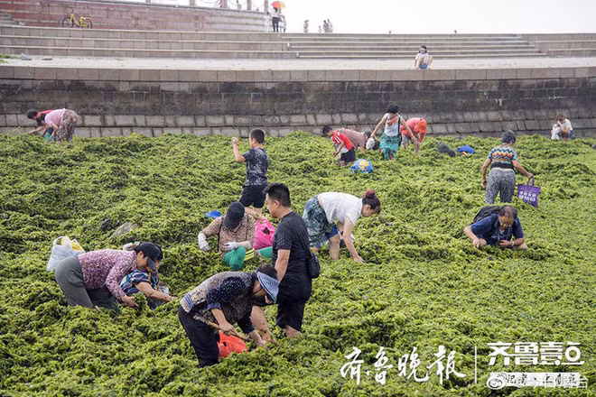 Bão lớn cuốn theo món đồ quý giá đổ vào bờ, người dân đua nhau đi nhặt - Ảnh 1.