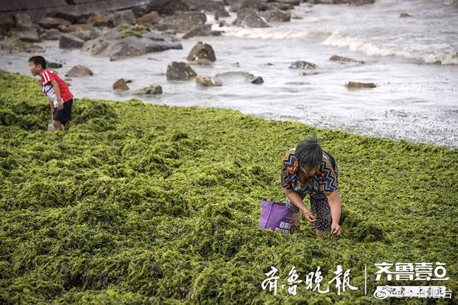 Bão lớn cuốn theo món đồ quý giá đổ vào bờ, người dân đua nhau đi nhặt - Ảnh 3.