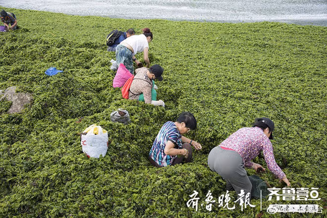 Bão lớn cuốn theo món đồ quý giá đổ vào bờ, người dân đua nhau đi nhặt - Ảnh 4.