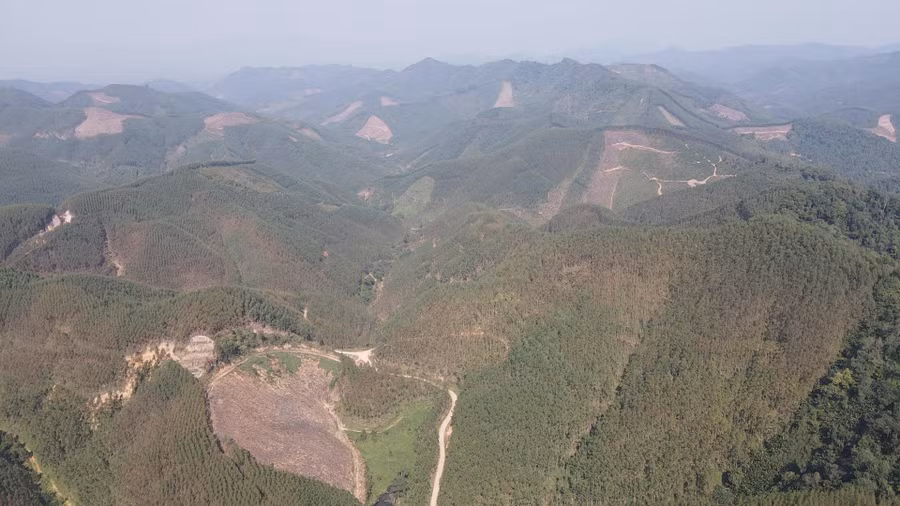 Khu vực triển khai dự án Khu công viên nghĩa trang sinh thái thuộc thôn Cai Vàng (xã Đông Hưng) nhìn từ trên cao.