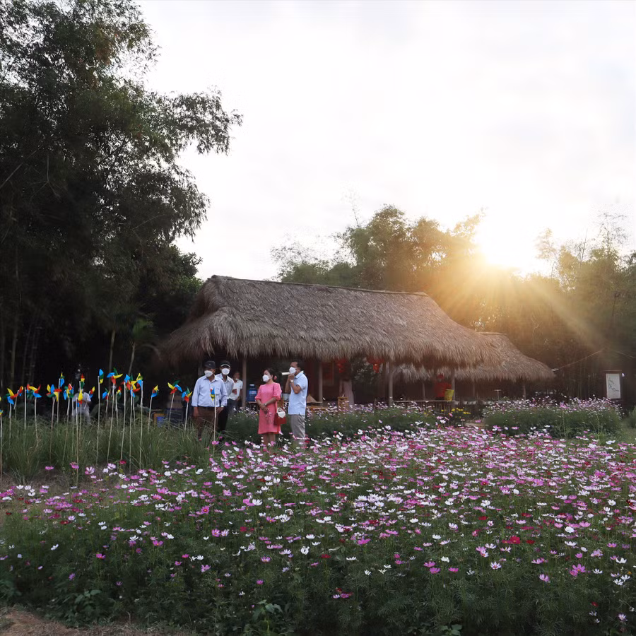 Làng Phú Bông, nay là thôn Cẩm Phú, xã Điện Phong, Điện Bàn phát triển mạnh mẽ du lịch cộng đồng.