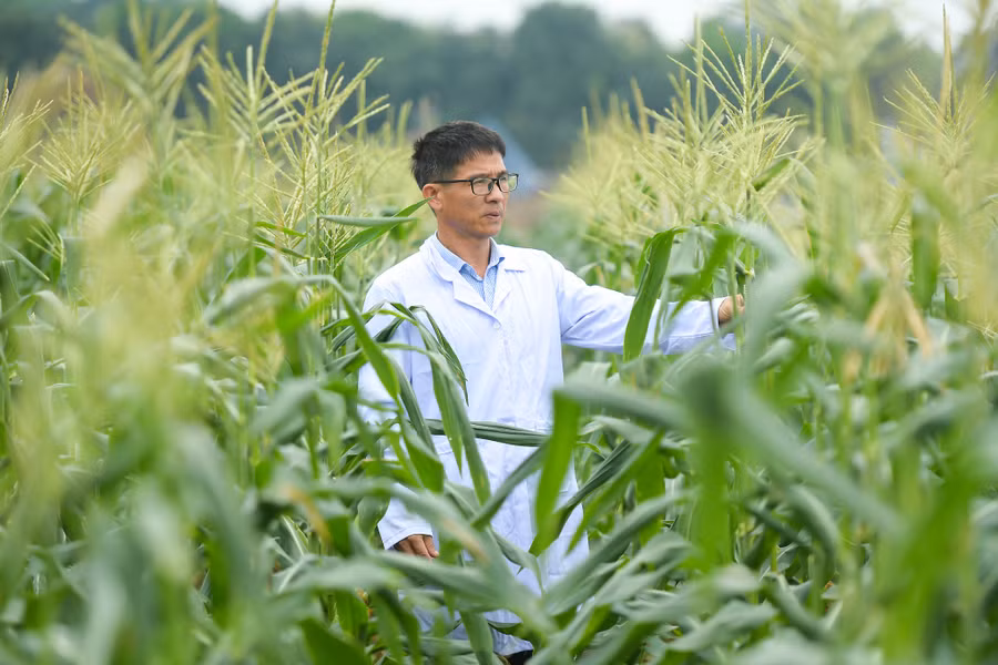 ThS Nguyễn Văn Hà.