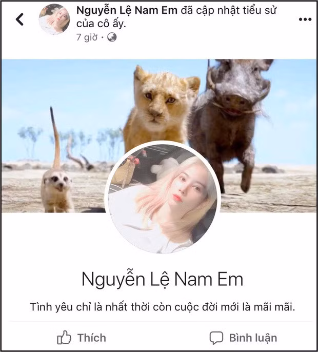 Nam Em bất ngờ cập nhật tiểu sử trang cá nhân bằng tuyên bố 