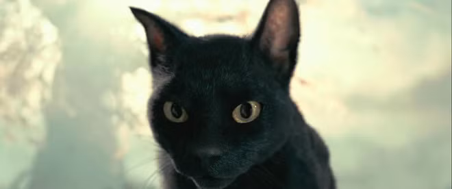 Tương truyền suốt hơn 40 năm sau đó, Võ Tắc Thiên vẫn phải sống chung với cơn mơ về những con mèo đến tìm mình trả thù.