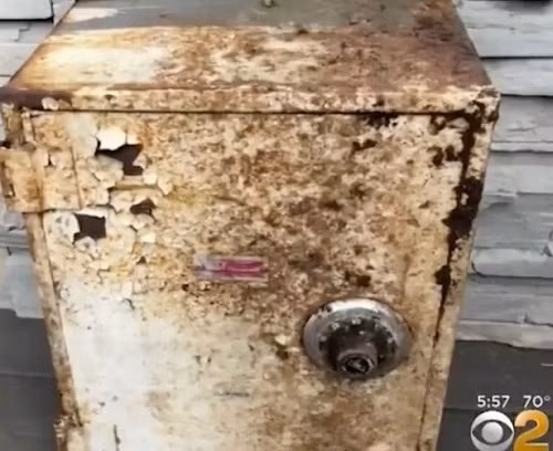 Phát hiện “kho báu” trong vườn trị giá hơn 1 tỷ đồng - 2