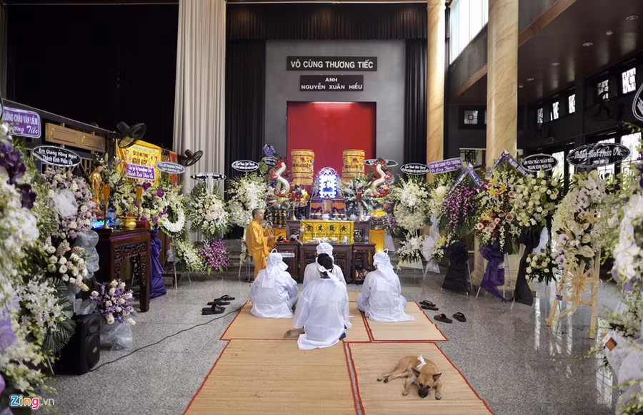 Vo va ba con trai nen noi dau, ke ve di nguyen cua nghe si Xuan Hieu hinh anh 2 