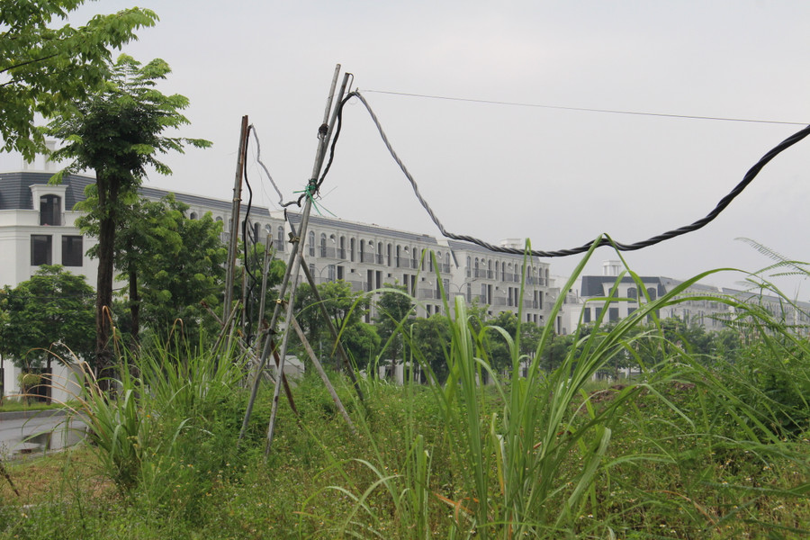 Một góc KĐT mới Kim Chung - Di Trạch.