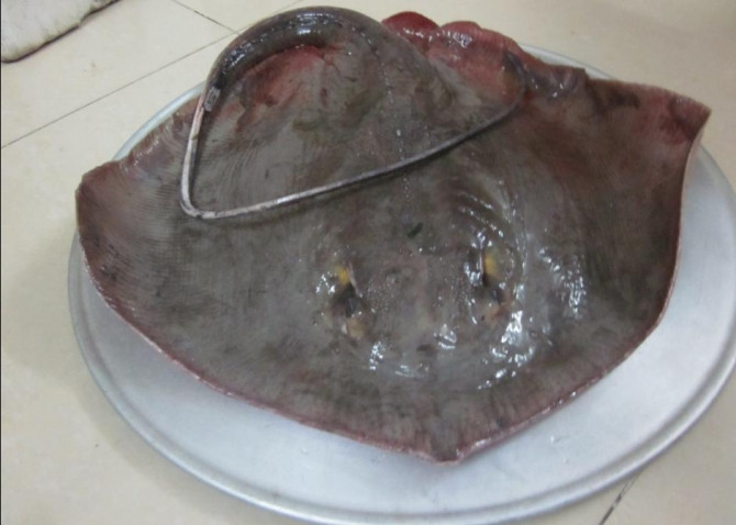 Canh chua cá đuối bắp chuối đậm vị miền Trung - Ảnh 2 Canh chua cá đuối bắp chuối đậm vị miền Trung - Ảnh 2
