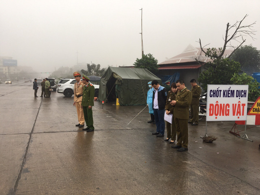 Chốt kiểm dịch tại địa phương