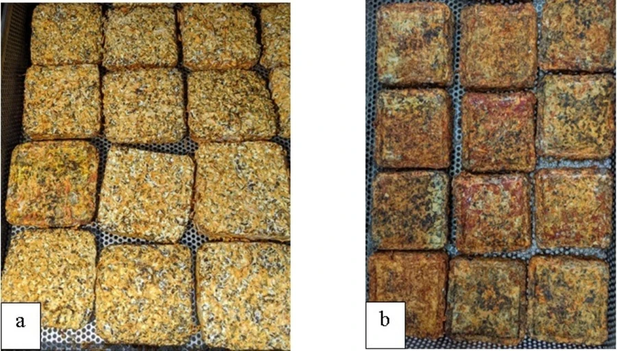 Đế nấm trùng thảo dùng làm nguyên liệu sản xuất, đế tươi (a) và đế sấy (b).