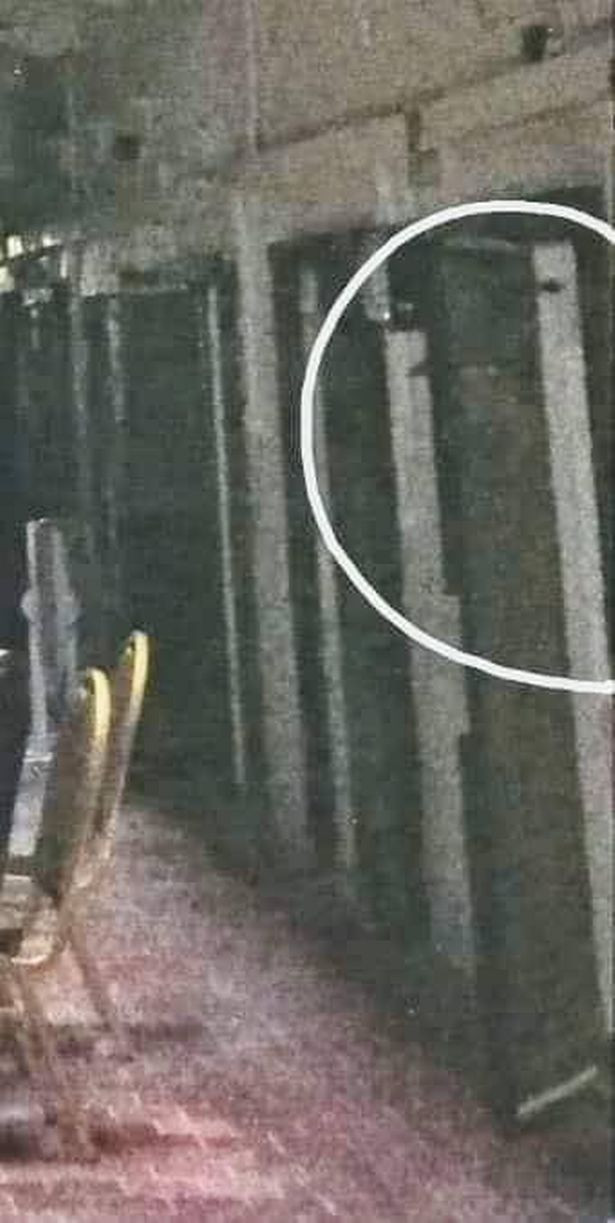 Hình ảnh "người đàn ông" mà Sarah chụp được. Hình ảnh "người đàn ông" mà Sarah chụp được.