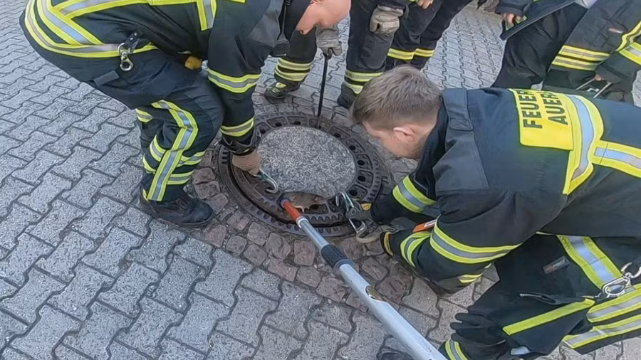 Chú chuột mắc kẹt ở nắp cống vì... quá béo