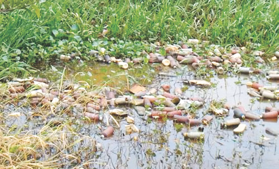 Ô nhiễm môi trường trong sản xuất nông nghiệp ở ĐBSCL ngày càng nghiêm trọng.