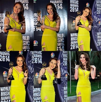 Nhìn lại một năm huy hoàng của “họa mi tóc nâu” Mỹ Tâm ảnh 8