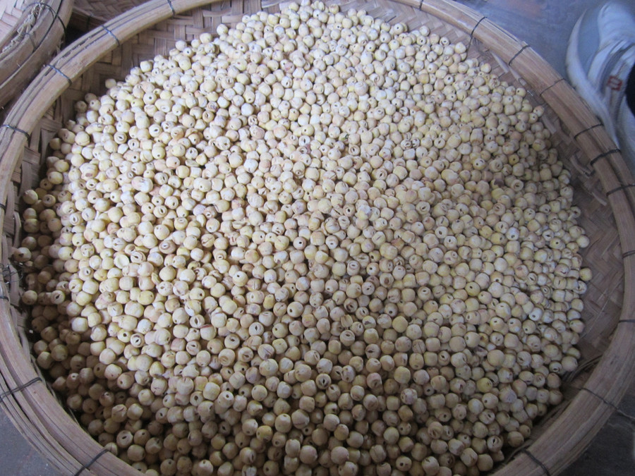 Hạt sen trần, nguyên liệu chính để chế biến các món ăn từ sen.