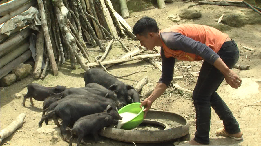 Các hộ dân chủ động các hướng đi để cải thiện kinh tế gia đình Các hộ dân chủ động các hướng đi để cải thiện kinh tế gia đình