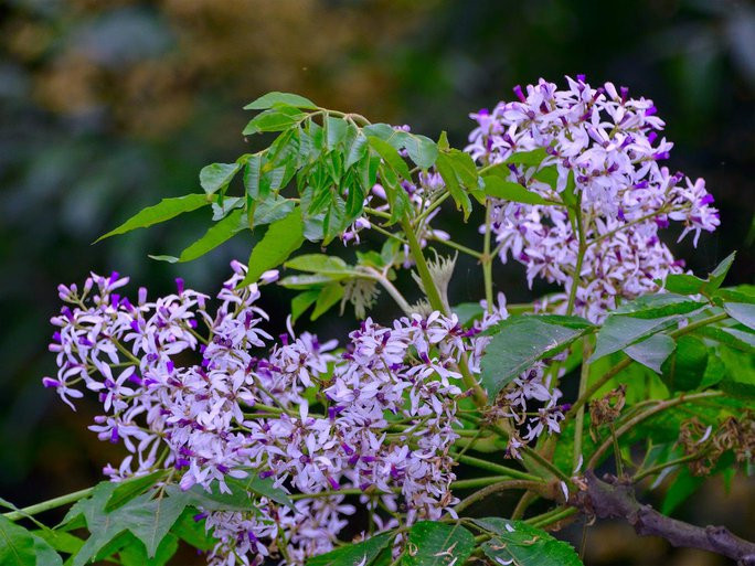 Ảnh minh họa/INT Ảnh minh họa/INT