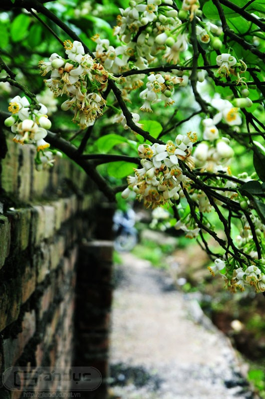 Ảnh minh họa/INT Ảnh minh họa/INT