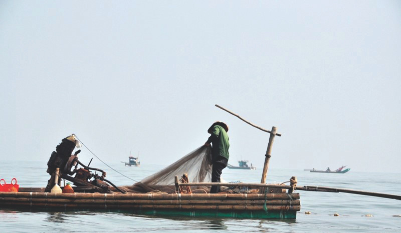 Ngư dân Thanh Hóa đánh bắt moi biển. Ảnh: Báo Thanh Hóa. Ngư dân Thanh Hóa đánh bắt moi biển. Ảnh: Báo Thanh Hóa.