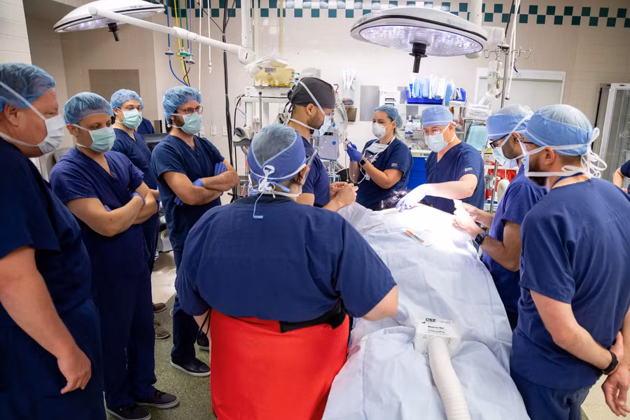 Đây là phương pháp điều trị SCS mới nhất đối với khả năng và chức năng vận động.