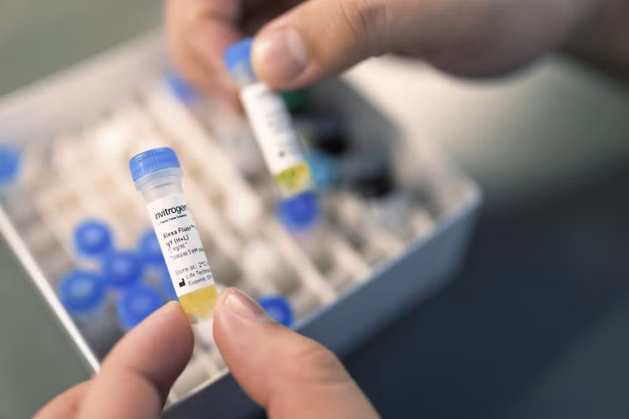 Truyền thuốc qua tĩnh mạch trong thời gian thai kỳ để kiểm soát bệnh Pompe.