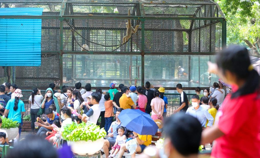 Mọi ngả đường ở công viên Thủ Lệ hôm 2/9 đều chật kín người. Ảnh: Đinh Huy. Mọi ngả đường ở công viên Thủ Lệ hôm 2/9 đều chật kín người. Ảnh: Đinh Huy.