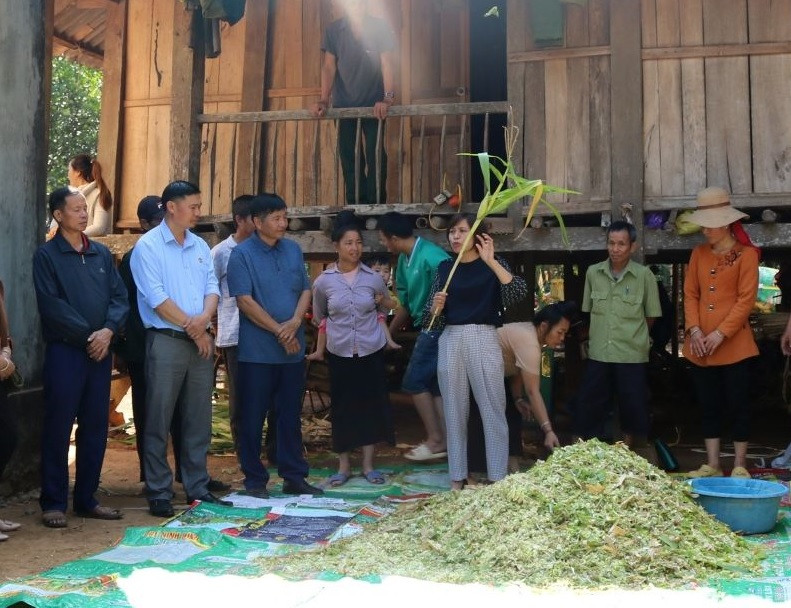 Tập huấn kỹ thuật ủ chua thức ăn cho gia súc tại xã Chiềng Sàng (Yên Châu).