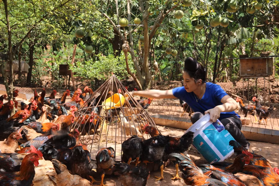 Nhờ triển khai chính sách hiệu quả, mức sống của người dân ngày càng nâng cao.