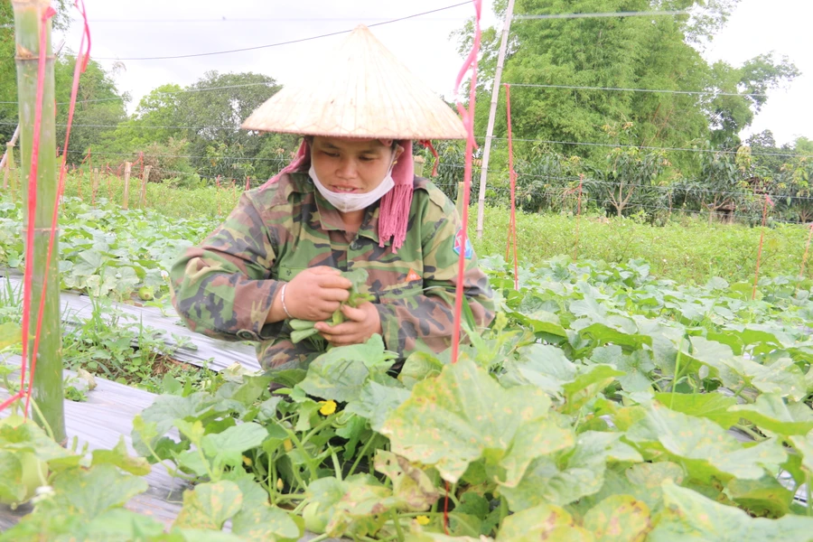 Nhờ làm tốt công tác an sinh xã hội, đời sống của người dân ngày càng nâng cao.