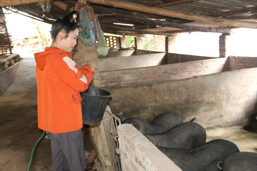 Ngoài hỗ trợ việc làm cho người dân, Phòng LĐ-TB&amp;XH Yên Châu còn giúp bà con tiếp cận vay vốn chính sách phát triển kinh tế.