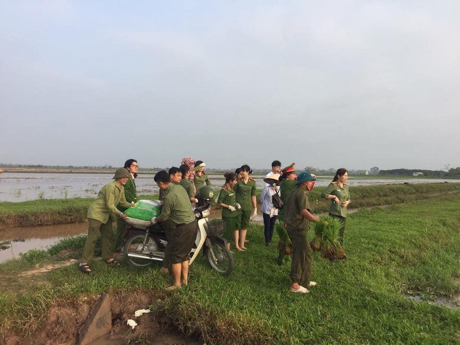 Vận chuyển mạ xuống đồng Vận chuyển mạ xuống đồng