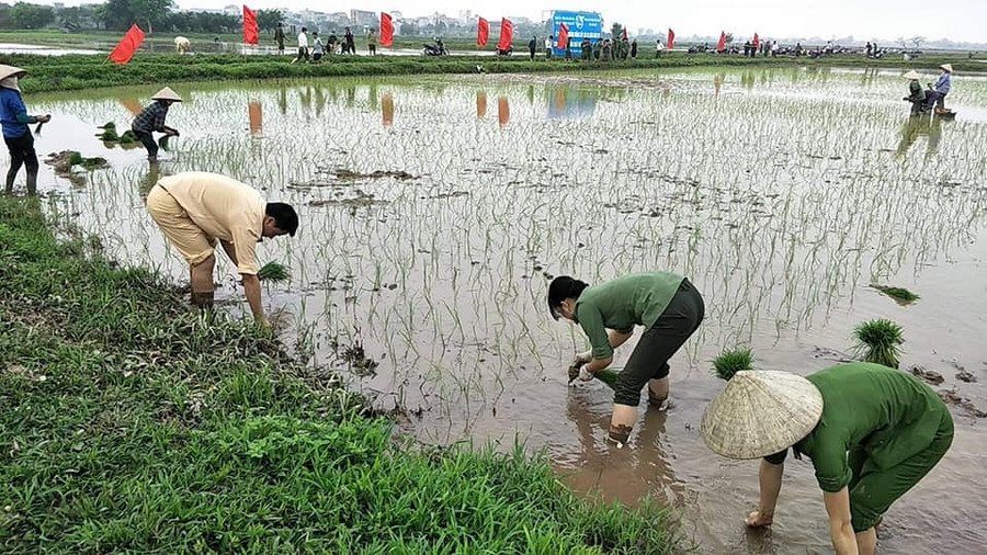 Hoạt động có ý nghĩa thiết thực của tuổi trẻ Hoạt động có ý nghĩa thiết thực của tuổi trẻ