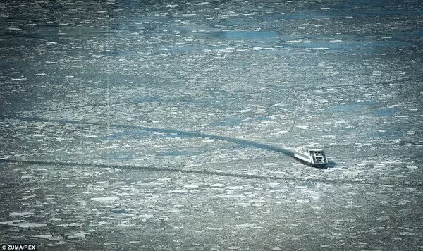 Chùm ảnh: Khung cảnh New York đóng băng như phim 