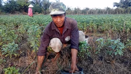 Ông Phan Văn Lá. Ảnh: Tiền phong