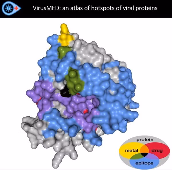 Một hình ảnh do virusMED tạo ra.