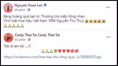 Người mẫu Xuân Lan. Ảnh: FBNV.