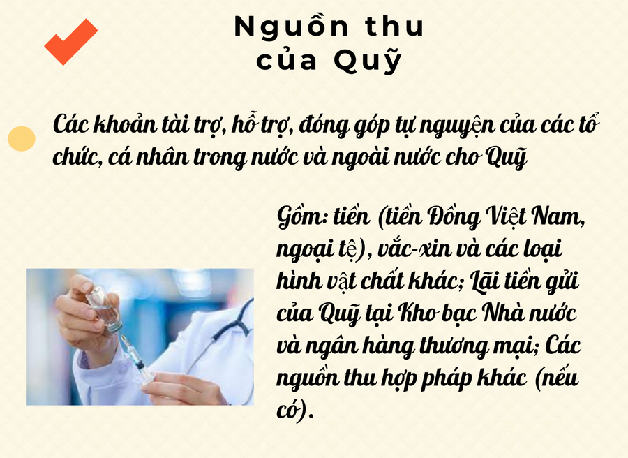 [Infographic] Quỹ vắc xin phòng Covid-19 công khai thu chi thế nào? ảnh 4