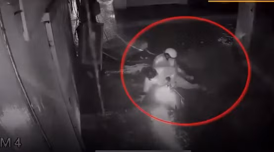 Video: Xe máy tụt xuống rãnh thoát nước đang thi công bị ngập ở Hà Nội